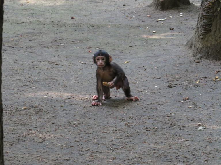 heimattiergarten-tierpark-zoo-fuerstenwalde-tiere-042