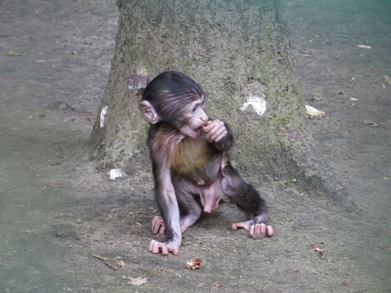 heimattiergarten-tierpark-zoo-fuerstenwalde-tiere-043