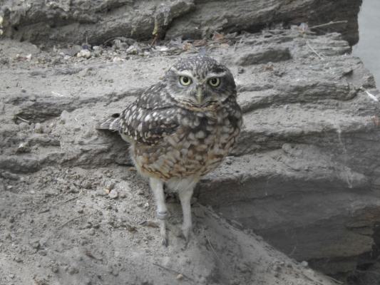 heimattiergarten-tierpark-zoo-fuerstenwalde-tiere-207