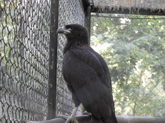 heimattiergarten-tierpark-zoo-fuerstenwalde-tiere-143
