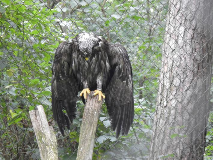 heimattiergarten-tierpark-zoo-fuerstenwalde-tiere-364