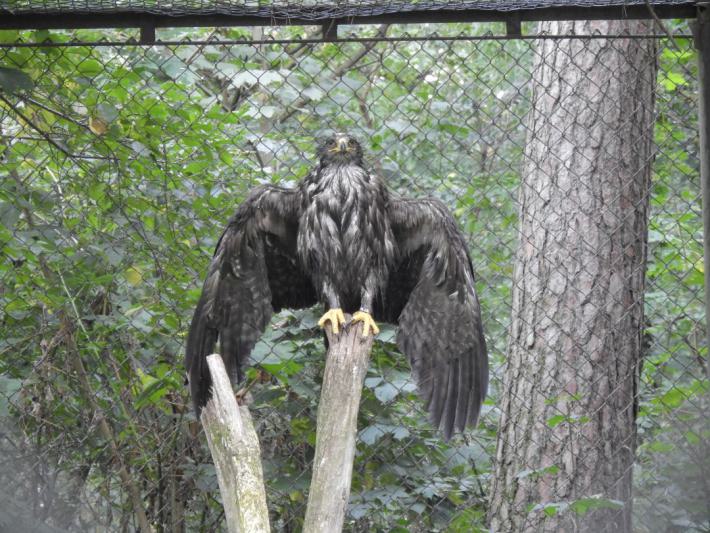 heimattiergarten-tierpark-zoo-fuerstenwalde-tiere-369