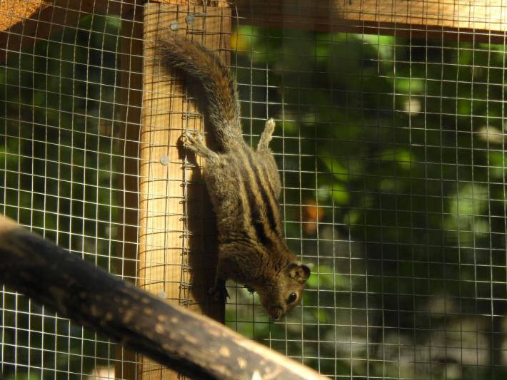 heimattiergarten-tierpark-zoo-fuerstenwalde-tiere-091