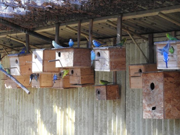 heimattiergarten-tierpark-zoo-fuerstenwalde-tiere-345