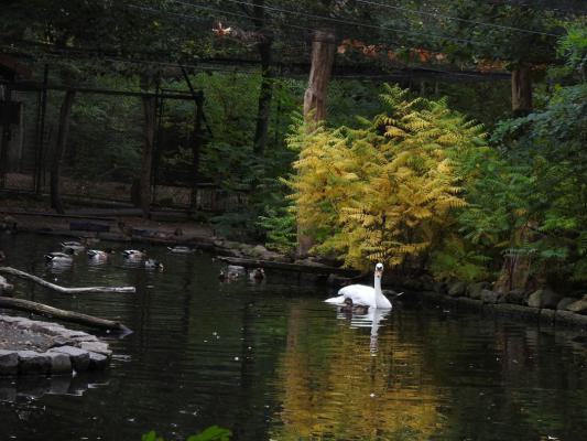 heimattiergarten-tierpark-zoo-fuerstenwalde-tiere-402