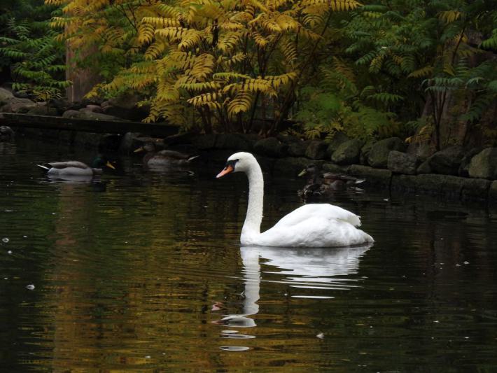 heimattiergarten-tierpark-zoo-fuerstenwalde-tiere-403