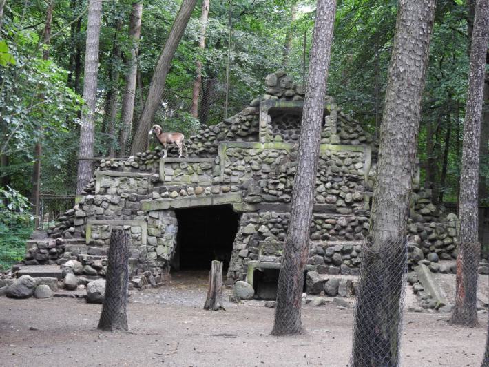 heimattiergarten-tierpark-zoo-fuerstenwalde-tiere-277